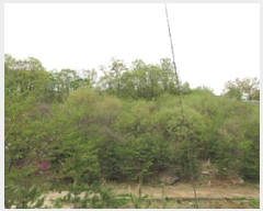  2025Ÿ��5273 ��� ����� ������ �ܾ ��125-1      ����(�Ӿ�)���