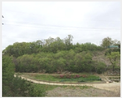  2025Ÿ��5273 ��� ����� ������ �ܾ ��125-1      ����(�Ӿ�)���