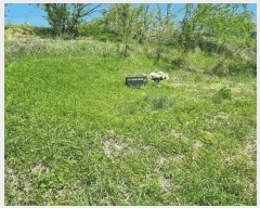  2025Ÿ��5293 ��� ���ֽ� ���˸� ��� 62-4      ����(��1)���