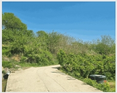  2025Ÿ��5293 ��� ���ֽ� ���˸� ��� 62-4      ����(��1)���