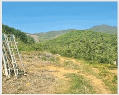  2025Ÿ��5293 ��� ���ֽ� ���˸� ��� 62-4      ����(��1)���