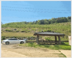  2025Ÿ��5293 ��� ���ֽ� ���˸� ��� 62-4      ����(��1)���