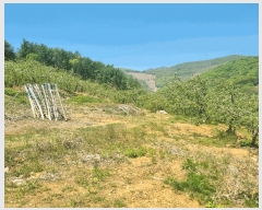  2025Ÿ��5293 ��� ���ֽ� ���˸� ��� 62-4      ����(��1)���