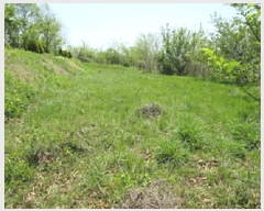  2025Ÿ��5293 ��� ���ֽ� ���˸� ��� 62-4      ����(��1)���