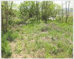  2025Ÿ��5293 ��� ���ֽ� ���˸� ��� 62-4      ����(��1)���