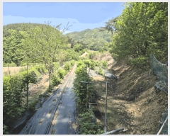  2025Ÿ��5313 ��� ����� ���θ� ���׸� 271      ����(��)���