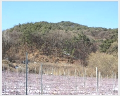  2025Ÿ��22 ��� ����� ���θ� �ΰ 892      ����(��)���