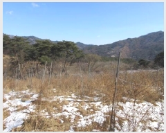  2025Ÿ��22 ��� ����� ���θ� �ΰ 892      ����(��)���