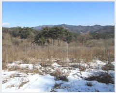  2025Ÿ��22 ��� ����� ���θ� �ΰ 892      ����(��)���