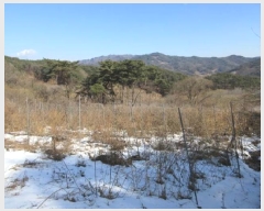  2025Ÿ��22 ��� ����� ���θ� �ΰ 892      ����(��)���