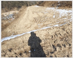  2025Ÿ��46 ��� ���ֽ� ������ ������ 375      ����(��)���