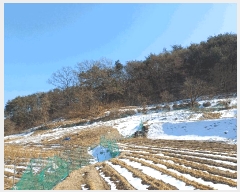  2025Ÿ��46 ��� ���ֽ� ������ ������ 375      ����(��)���