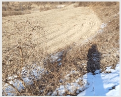  2025Ÿ��46 ��� ���ֽ� ������ ������ 375      ����(��)���