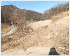  2025Ÿ��46 ��� ���ֽ� ������ ������ 375      ����(��)���