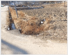  2025Ÿ��46 ��� ���ֽ� ������ ������ 375      ����(��)���