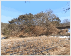  2025Ÿ��46 ��� ���ֽ� ������ ������ 375      ����(��)���