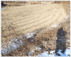  2025Ÿ��46 ��� ���ֽ� ������ ������ 375      ����(��)���