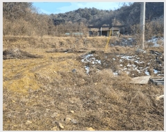  2025Ÿ��107 ��� ���ֽ� ���˸� ���¸� 434      ����(��)���