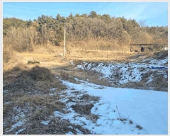  2025Ÿ��107 ��� ���ֽ� ���˸� ���¸� 434      ����(��)���