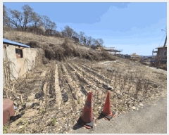  2025Ÿ��118 ��� ����� ������ 487-23       ����(�Ӿ�)���