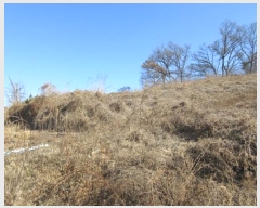  2025Ÿ��118 ��� ����� ������ 487-23       ����(�Ӿ�)���