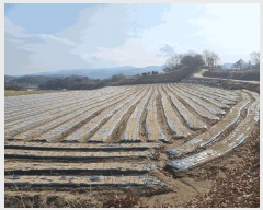  2025Ÿ��122 ��� ��õ�� ��õ�� ���� 641      ����(��1)���