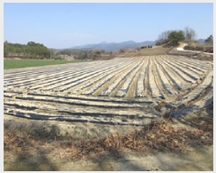  2025Ÿ��122 ��� ��õ�� ��õ�� ���� 641      ����(��1)���