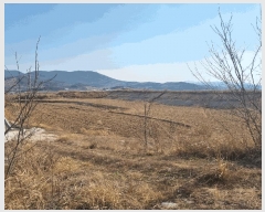  2025Ÿ��142  ����