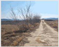  2025Ÿ��142  ����