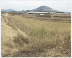  2025Ÿ��142  ����