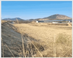  2025Ÿ��142  ����