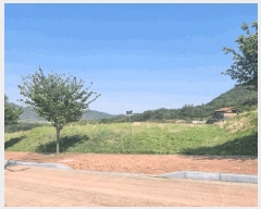  2025Ÿ��154  �������