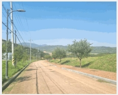  2025Ÿ��154  �������