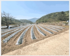  2025Ÿ��158  ���ð��