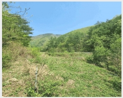  2025Ÿ��158  ���ð��