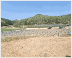  2025Ÿ��158  ���ð��