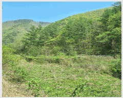  2025Ÿ��158  ���ð��