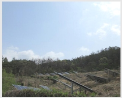  2025Ÿ��160 ��� ��õ�� ��ǳ�� ž�� ��5      ����(�Ӿ�)���