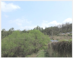  2025Ÿ��160 ��� ��õ�� ��ǳ�� ž�� ��5      ����(�Ӿ�)���