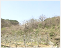  2025Ÿ��160 ��� ��õ�� ��ǳ�� ž�� ��5      ����(�Ӿ�)���