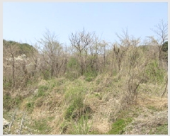  2025Ÿ��160 ��� ��õ�� ��ǳ�� ž�� ��5      ����(�Ӿ�)���