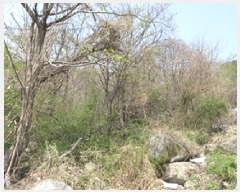  2025Ÿ��160 ��� ��õ�� ��ǳ�� ž�� ��5      ����(�Ӿ�)���