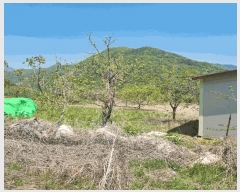  2025Ÿ��164 ��� ����� ������ ������ 621-1      ����(��1)���