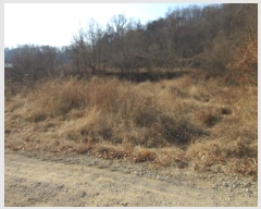  2025Ÿ��5027 ��� ��õ�� ȣ���� ���ո� 712      ����(��1)���