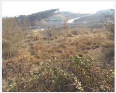  2025Ÿ��5027 ��� ��õ�� ȣ���� ���ո� 712      ����(��1)���