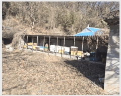  2025Ÿ��5126  �������