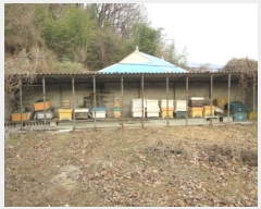  2025Ÿ��5126  �������