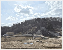  2025Ÿ��5201 ��� ����� ȣ��� ������ 153      ����(��)���