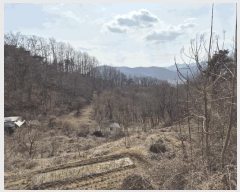  2025Ÿ��5201 ��� ����� ȣ��� ������ 153      ����(��)���