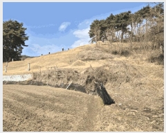  2025Ÿ��5201 ��� ����� ȣ��� ������ 153      ����(��)���